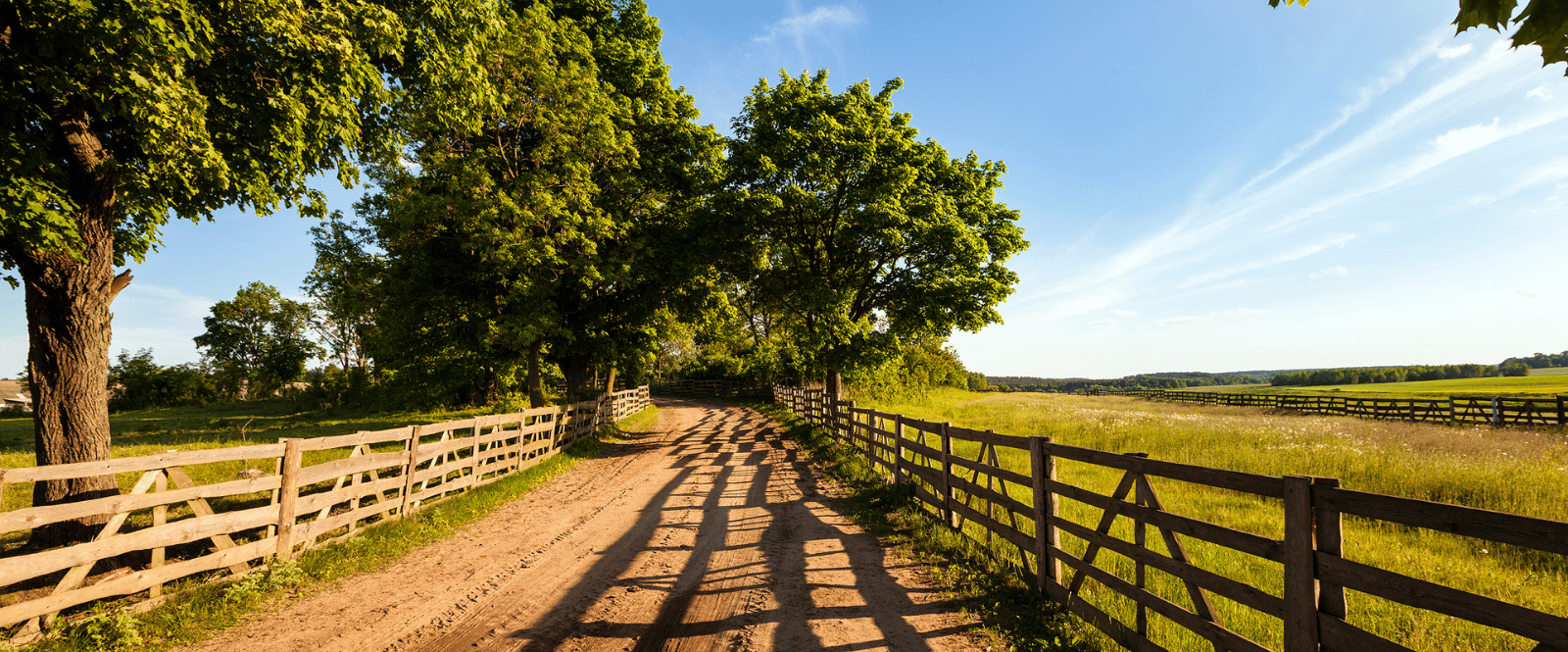 Country Drive