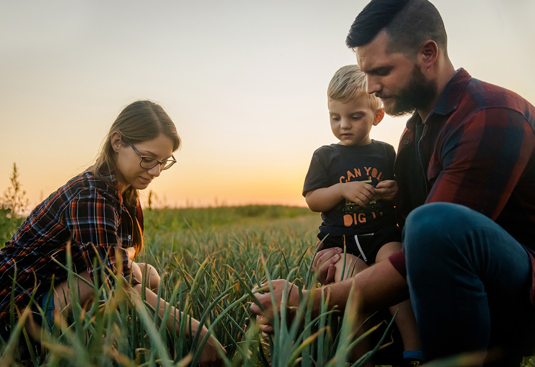 Family in the a field farming together.