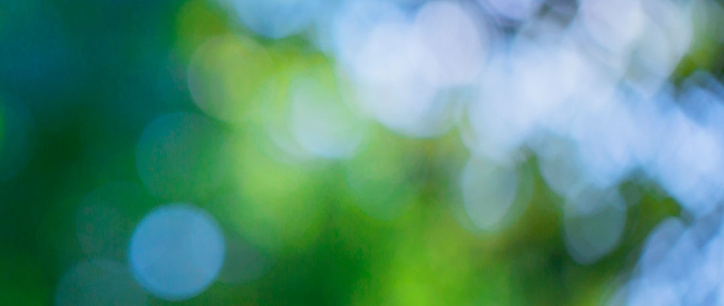 blurred blue sky and green trees